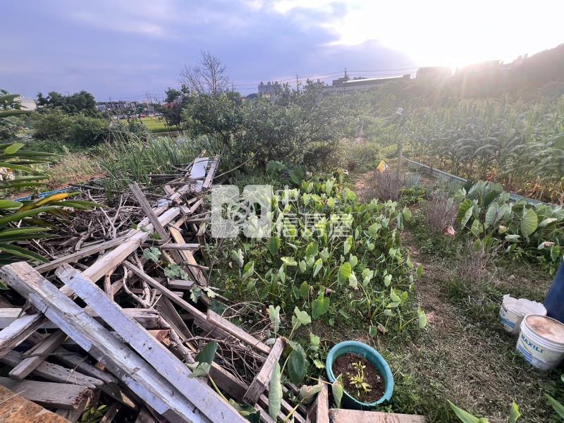 專委-中壢仁德段都計內農地房屋室內格局與周邊環境