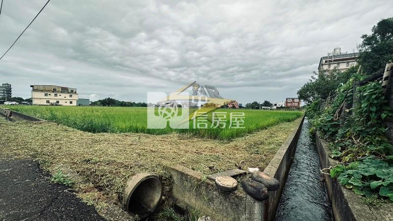 【星鑽】青埔月眉老農耕地房屋室內格局與周邊環境