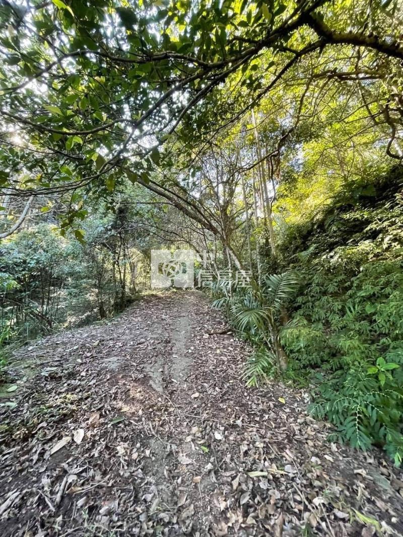 南庄便宜農保地僅存一塊房屋室內格局與周邊環境