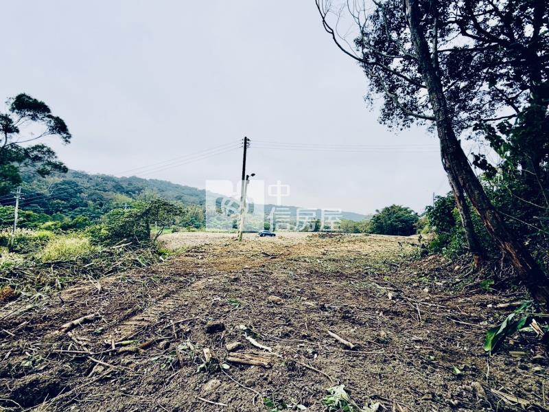 湖新路1903老街農地房屋室內格局與周邊環境