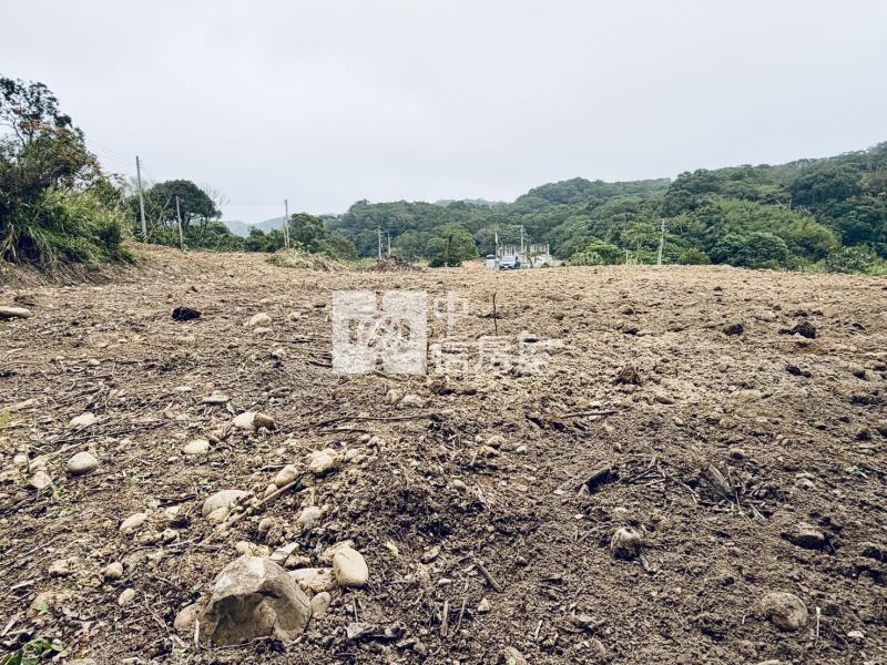 湖新路1903老街農地房屋室內格局與周邊環境