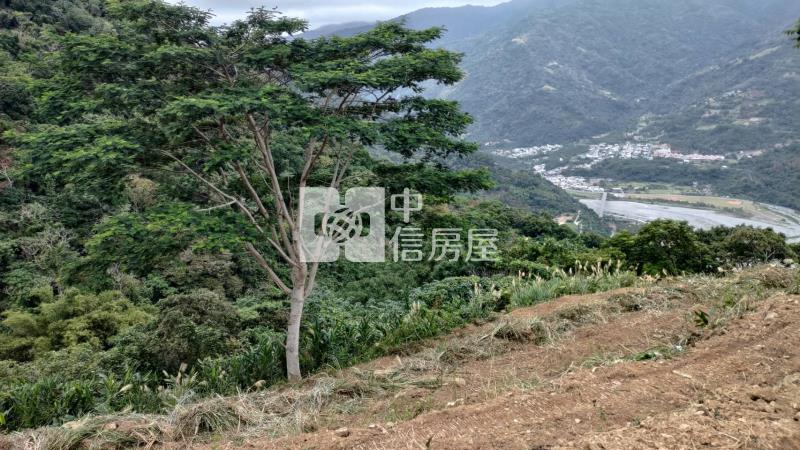 J1-12南迴山海景原保農地房屋室內格局與周邊環境