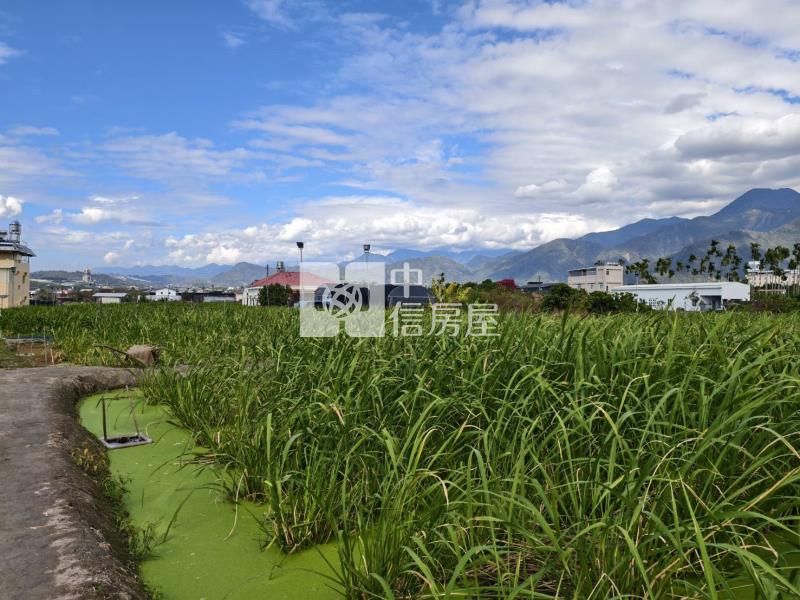 大城大農地房屋室內格局與周邊環境