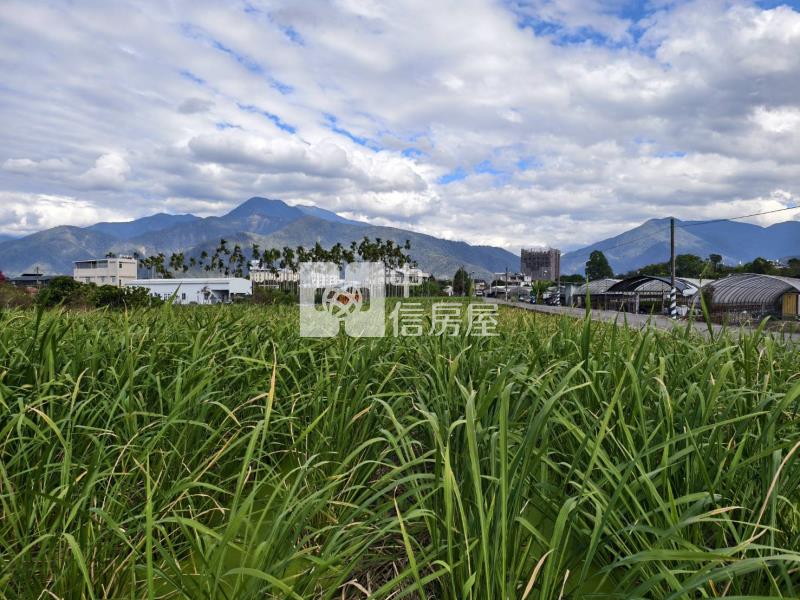 大城大農地房屋室內格局與周邊環境