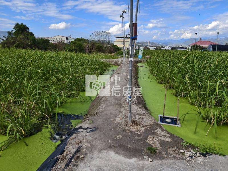 大城大農地房屋室內格局與周邊環境