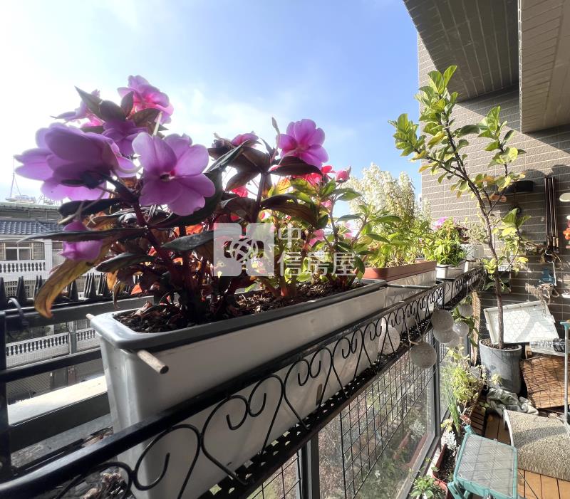 昂峰詠青創意三房平車美屋（專任）房屋室內格局與周邊環境