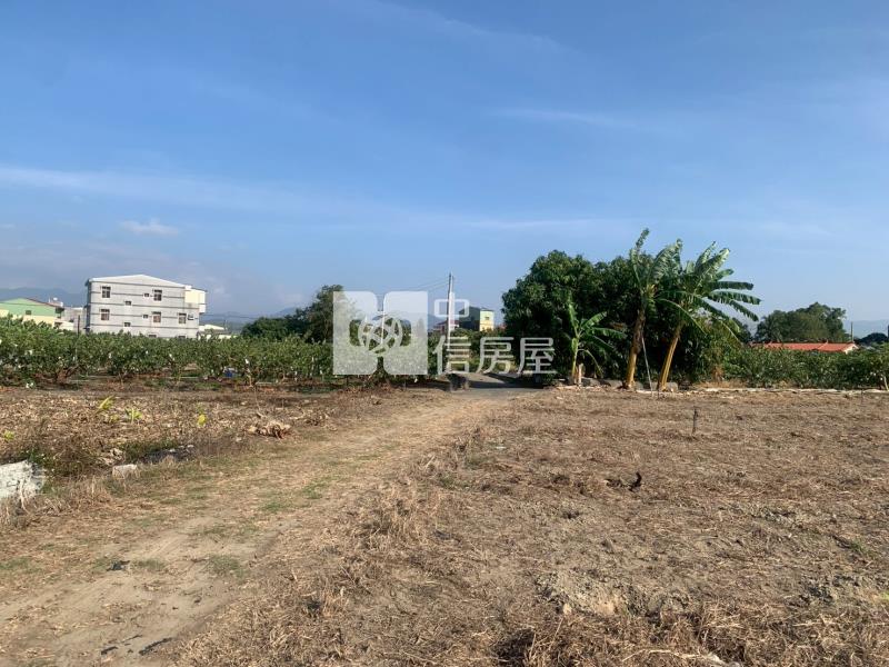 近玉井市區便宜美農地房屋室內格局與周邊環境