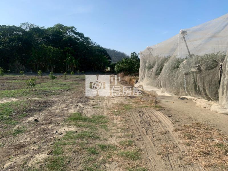 近玉井市區便宜美農地房屋室內格局與周邊環境