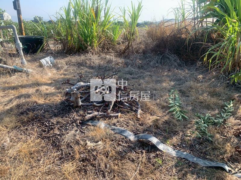 近玉井市區便宜美農地房屋室內格局與周邊環境