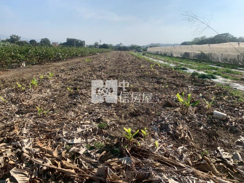 近玉井市區便宜美農地房屋室內格局與周邊環境