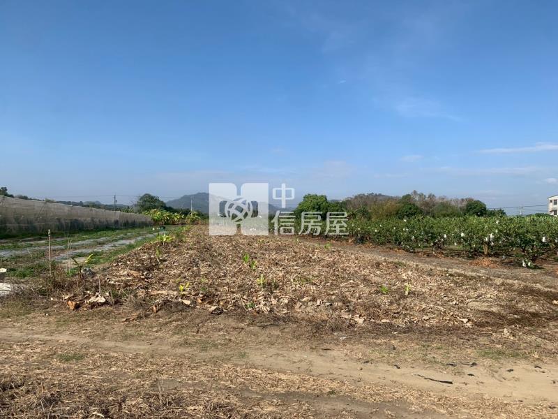 近玉井市區便宜美農地房屋室內格局與周邊環境