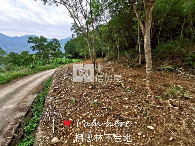 J1-45樂山2甲6雙面臨路農地房屋室內格局與周邊環境