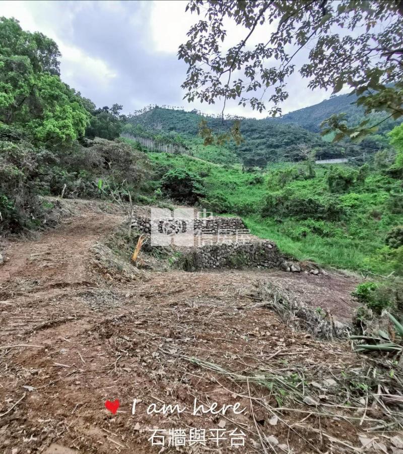 J1-45樂山2甲6雙面臨路農地房屋室內格局與周邊環境