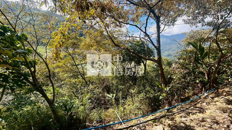 J1-45樂山2甲6雙面臨路農地房屋室內格局與周邊環境