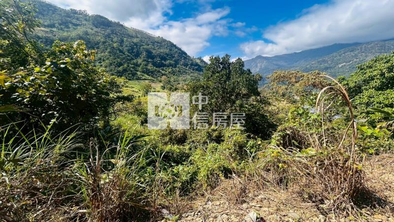 J1-45樂山2甲6雙面臨路農地房屋室內格局與周邊環境