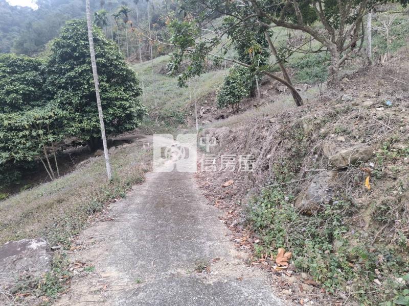 5X72南投農牧地房屋室內格局與周邊環境