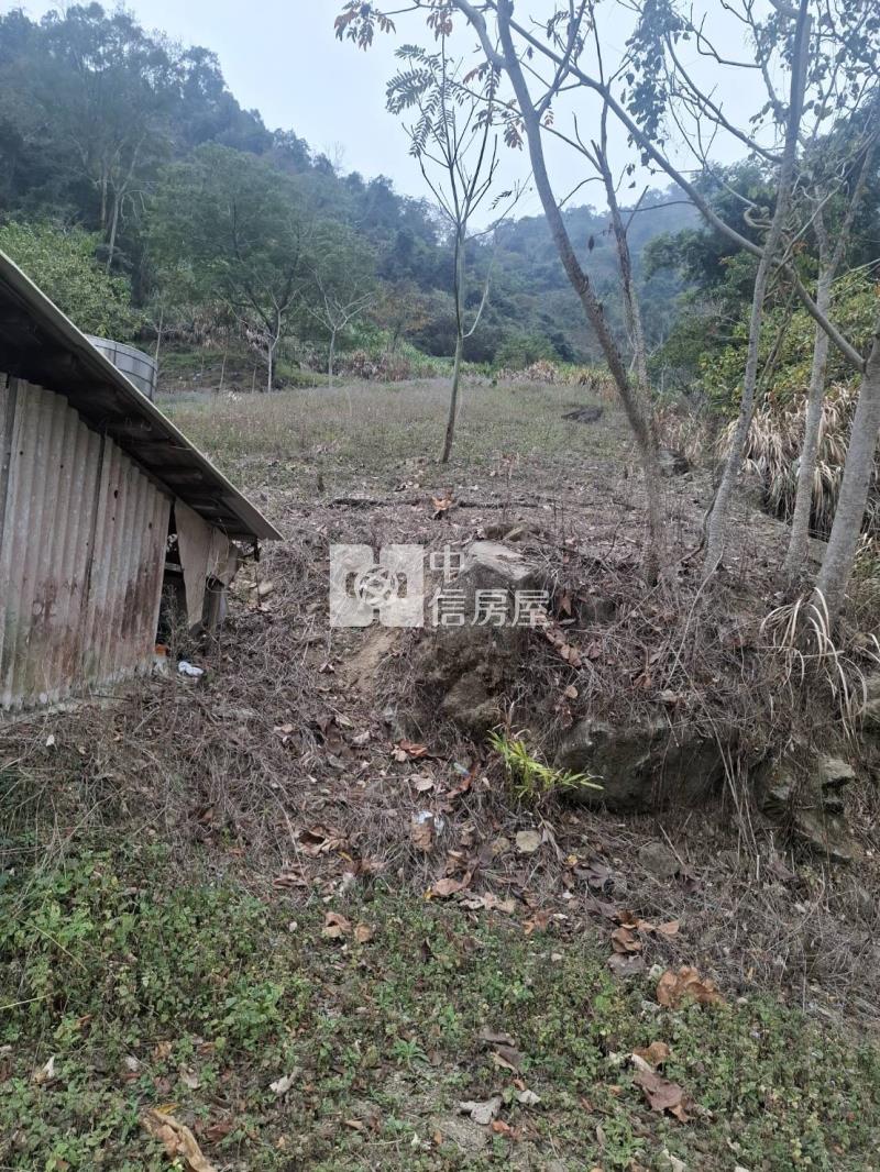 5X72南投農牧地房屋室內格局與周邊環境