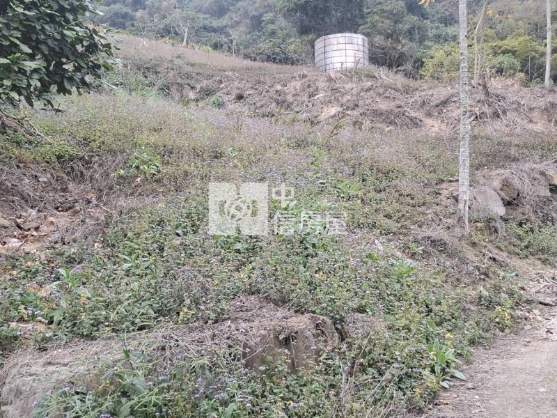 5X72南投農牧地房屋室內格局與周邊環境