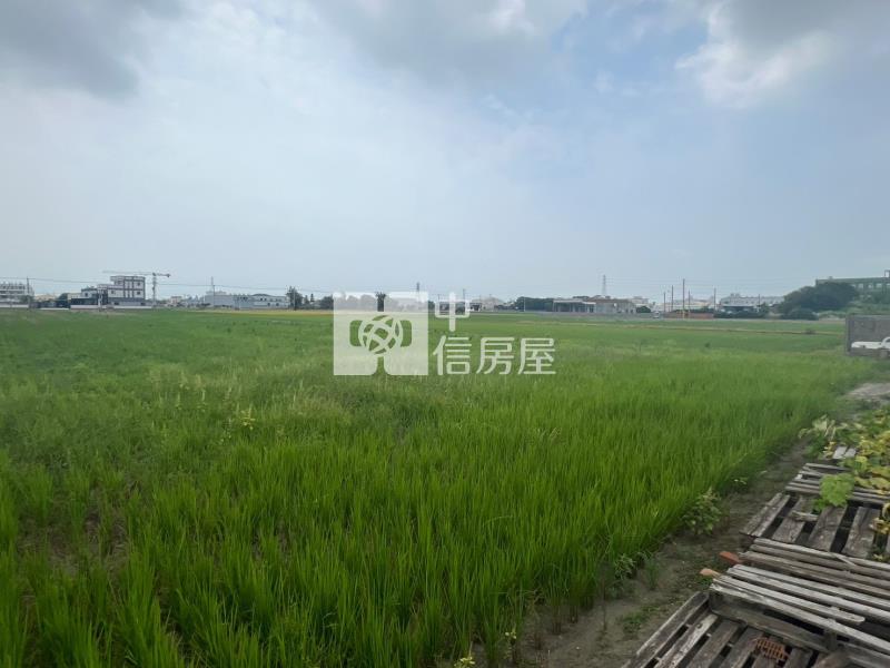 彰化縣鹿港鎮水五金增值重劃農地房屋室內格局與周邊環境