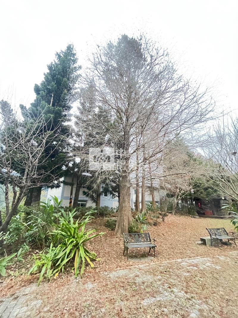 南庄日式別墅丙建87房屋室內格局與周邊環境