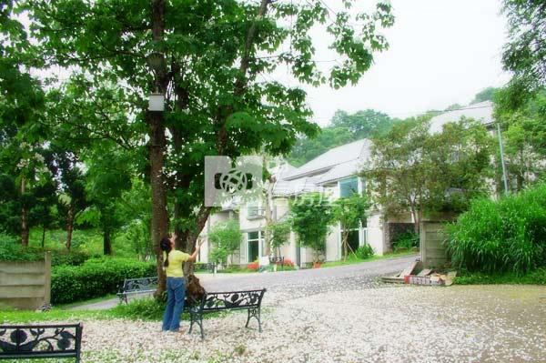 南庄日式別墅丙建89房屋室內格局與周邊環境