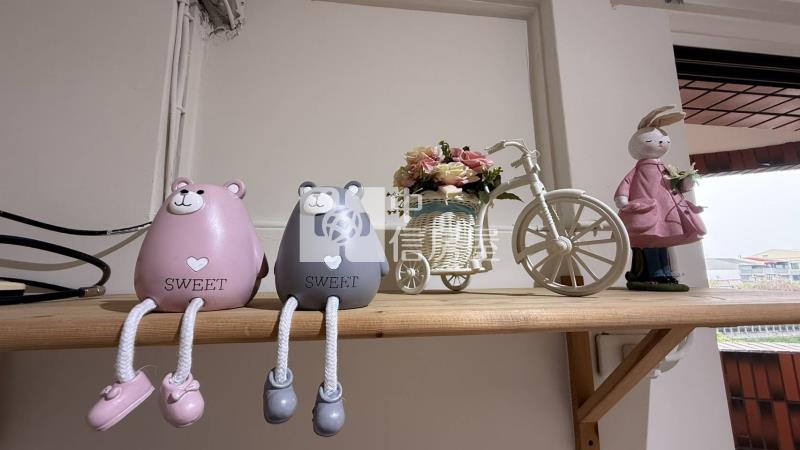 屏東市自立南路河畔景觀套房房屋室內格局與周邊環境