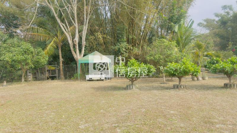 內門2000坪美農園贈未保存建物房屋室內格局與周邊環境