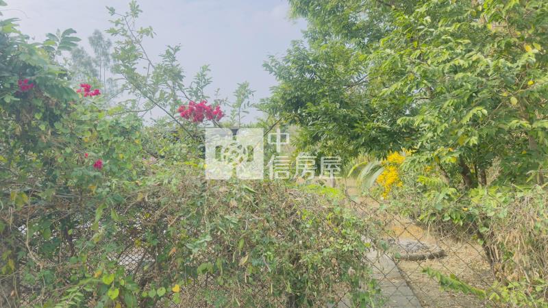 內門2000坪美農園贈未保存建物房屋室內格局與周邊環境