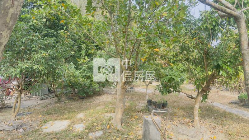 內門2000坪美農園贈未保存建物房屋室內格局與周邊環境