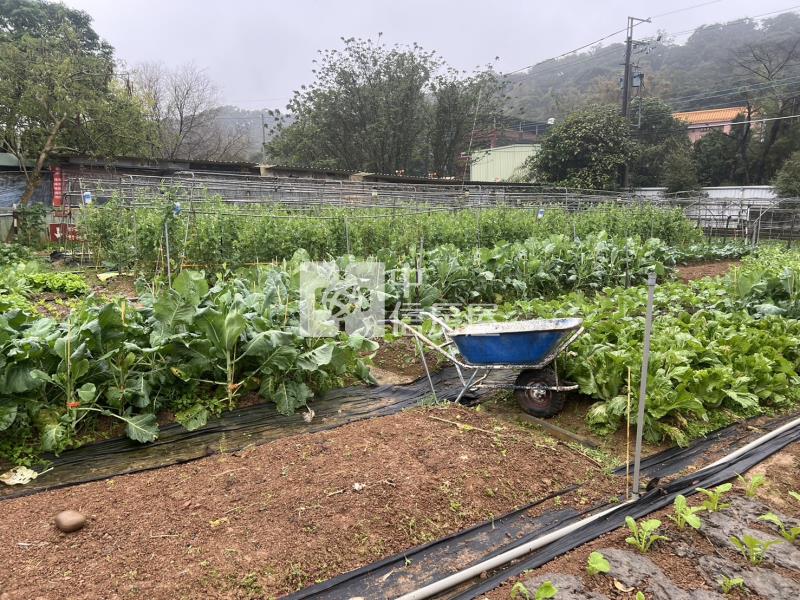 (專)平鎮中興路台達電後面一般農房屋室內格局與周邊環境