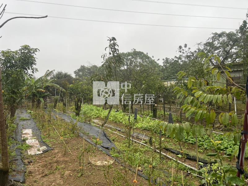 (專)平鎮中興路台達電後面一般農房屋室內格局與周邊環境