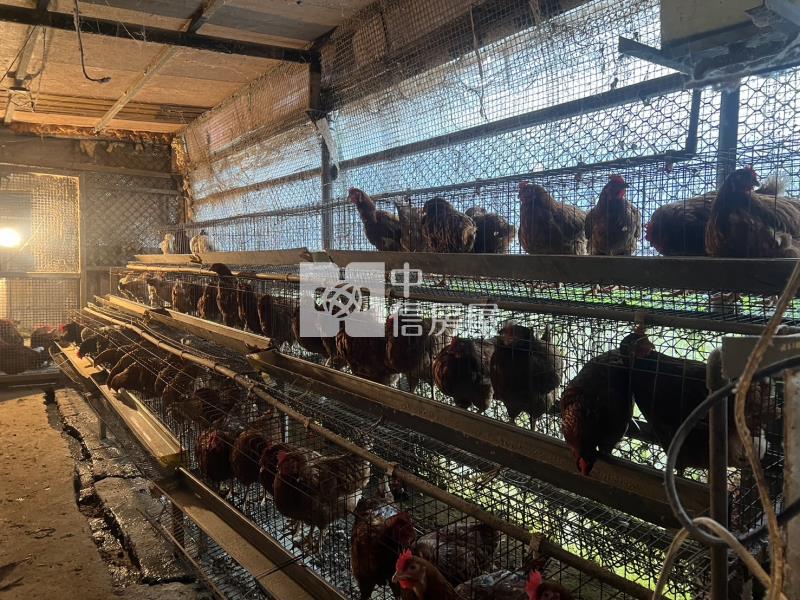 (專)平鎮中興路台達電後面一般農房屋室內格局與周邊環境