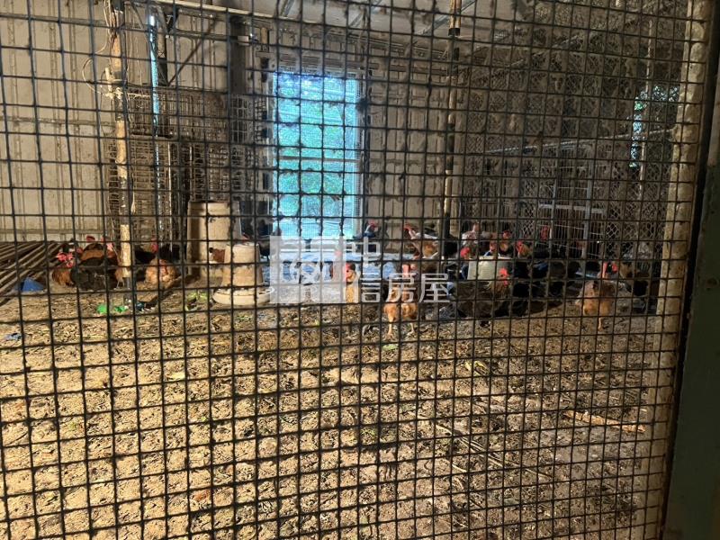 (專)平鎮中興路台達電後面一般農房屋室內格局與周邊環境