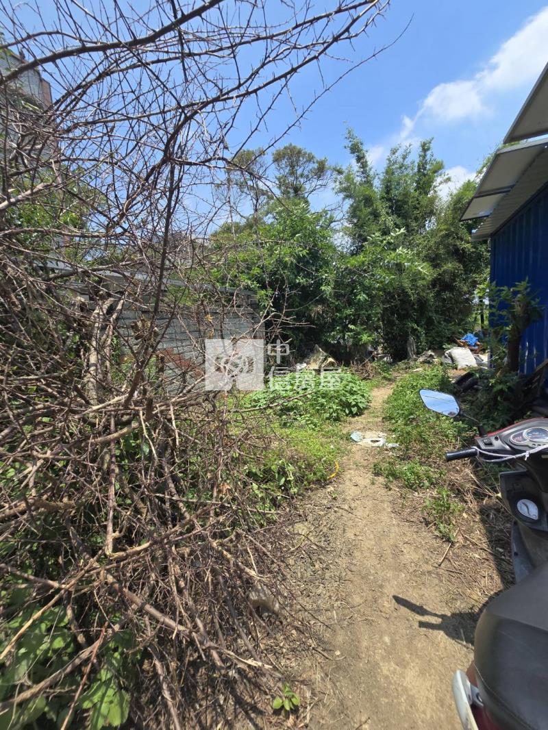 中大一路旁都內農房屋室內格局與周邊環境