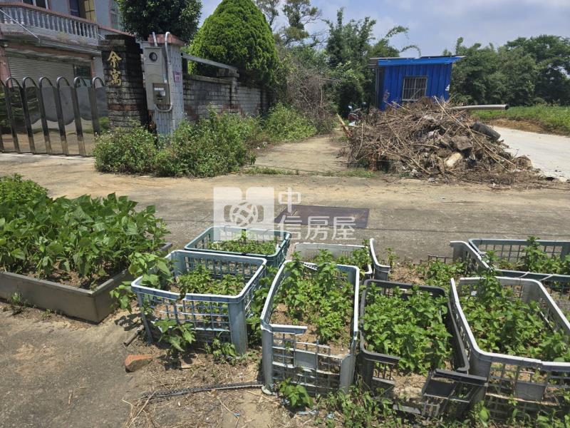 中大一路旁都內農房屋室內格局與周邊環境
