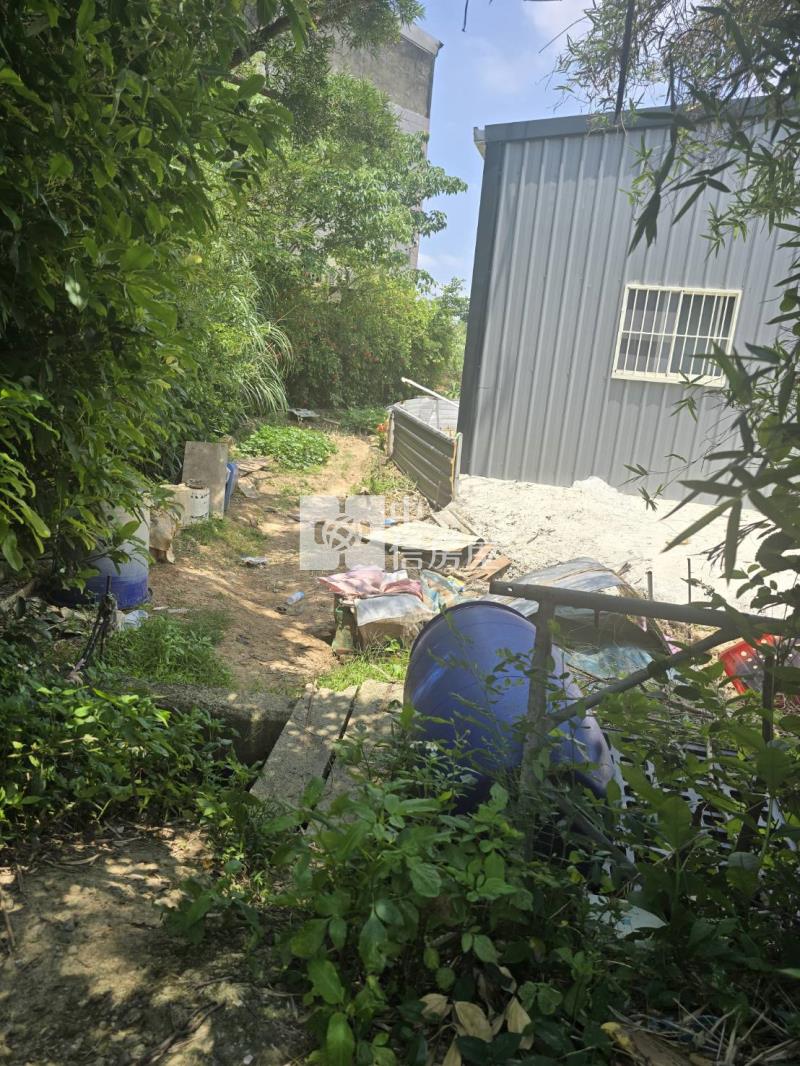 中大一路旁都內農房屋室內格局與周邊環境