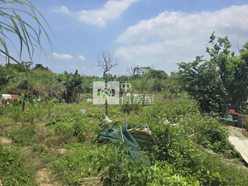 中大一路旁都內農房屋室內格局與周邊環境