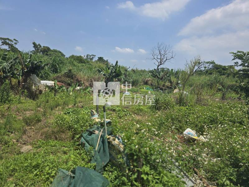 中大一路旁都內農房屋室內格局與周邊環境