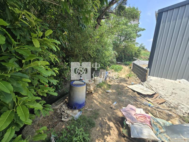 中大一路旁都內農房屋室內格局與周邊環境