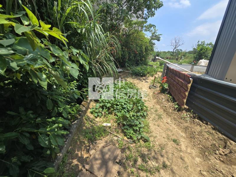 中大一路旁都內農房屋室內格局與周邊環境