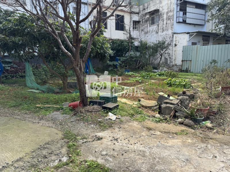 8800平鎮正關爺西路RC廠房房屋室內格局與周邊環境