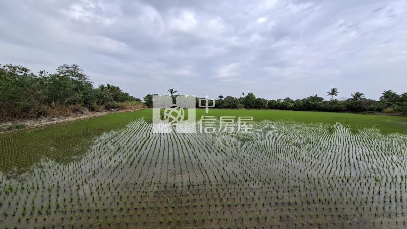 新市港子墘一甲一般農地房屋室內格局與周邊環境