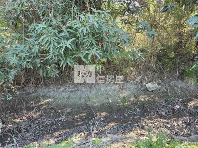 歸仁近大成路區段徵收土地(僅售持分)房屋室內格局與周邊環境