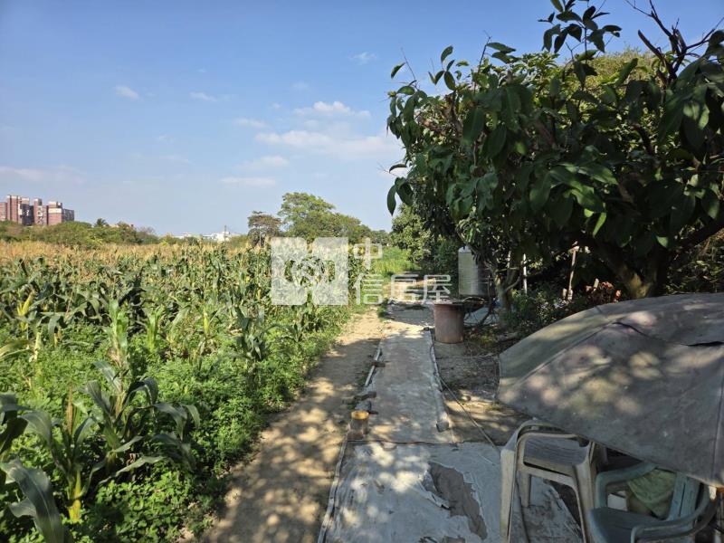 歸仁近大成路區段徵收土地(僅售持分)房屋室內格局與周邊環境