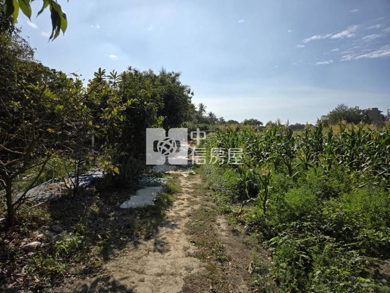 歸仁近大成路區段徵收土地(僅售持分)房屋室內格局與周邊環境