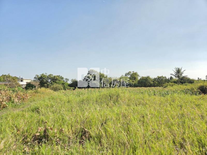 歸仁近大成路區段徵收土地(僅售持分)房屋室內格局與周邊環境