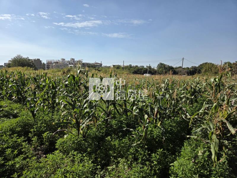 歸仁近大成路區段徵收土地(僅售持分)房屋室內格局與周邊環境