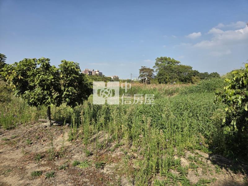 歸仁近大成路區段徵收土地(僅售持分)房屋室內格局與周邊環境