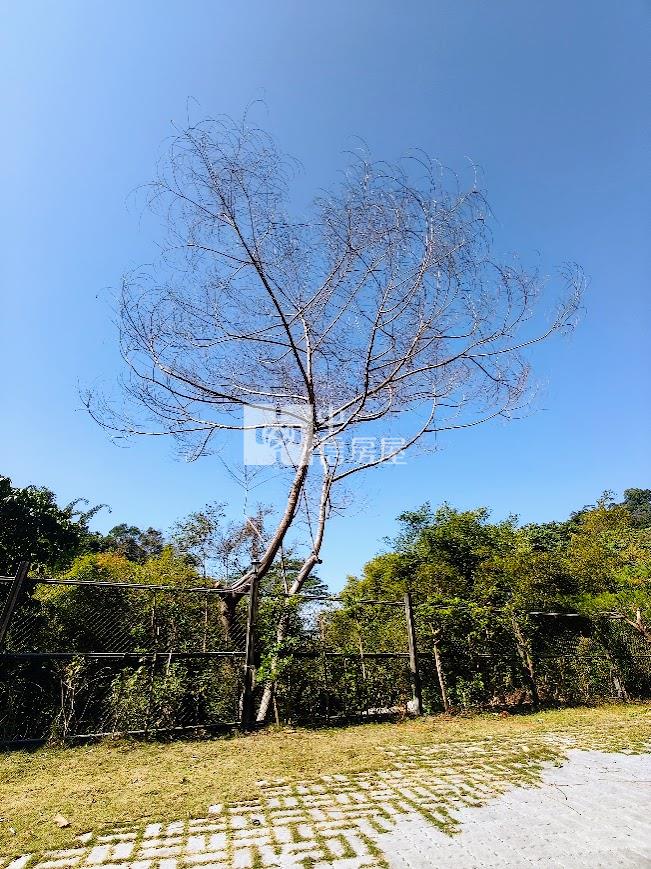 太平頭汴坑休閒園區.千坪農地.有渡假屋.車可達房屋室內格局與周邊環境