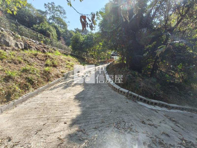 太平東汴國小.千坪林業用地房屋室內格局與周邊環境
